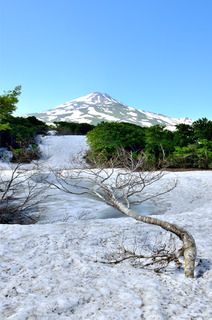 201906chokaisan.jpg
