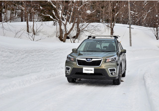 forester1902b.jpg